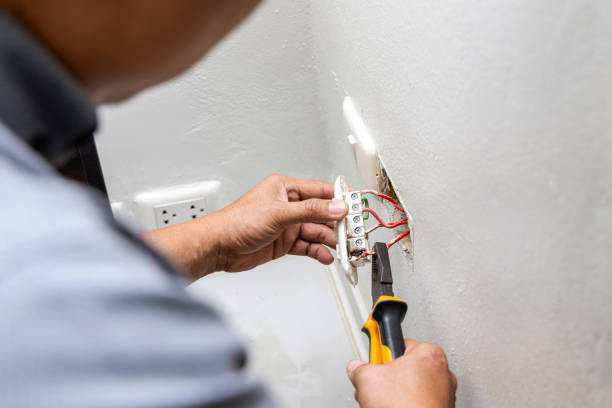 Best Ceiling Fan Installation Electrician  in Avon, MN